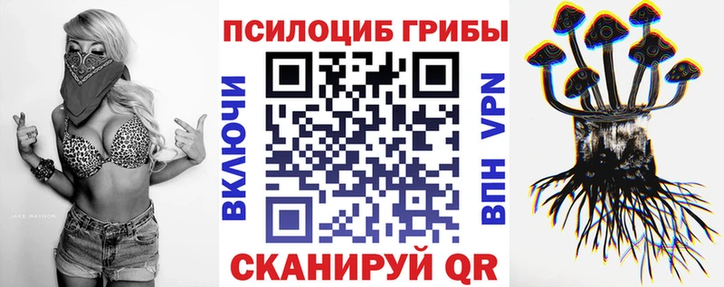Купить где  Лыткарино  Псилоцибиновые грибы GOLDEN TEACHER 